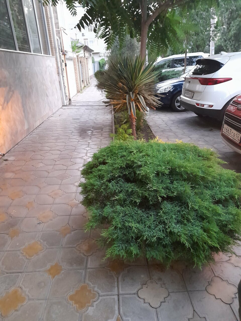 Гостиница Ясон Анапа