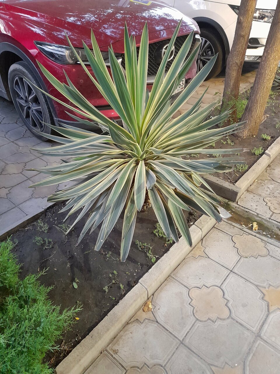 Гостиница Ясон Анапа-86