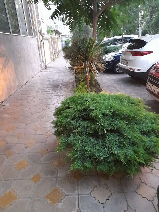 Гостиница Ясон Анапа-96